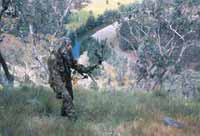 how to bow hunt goats 1 jpg