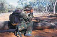 how to bow hunt goats 5 jpg