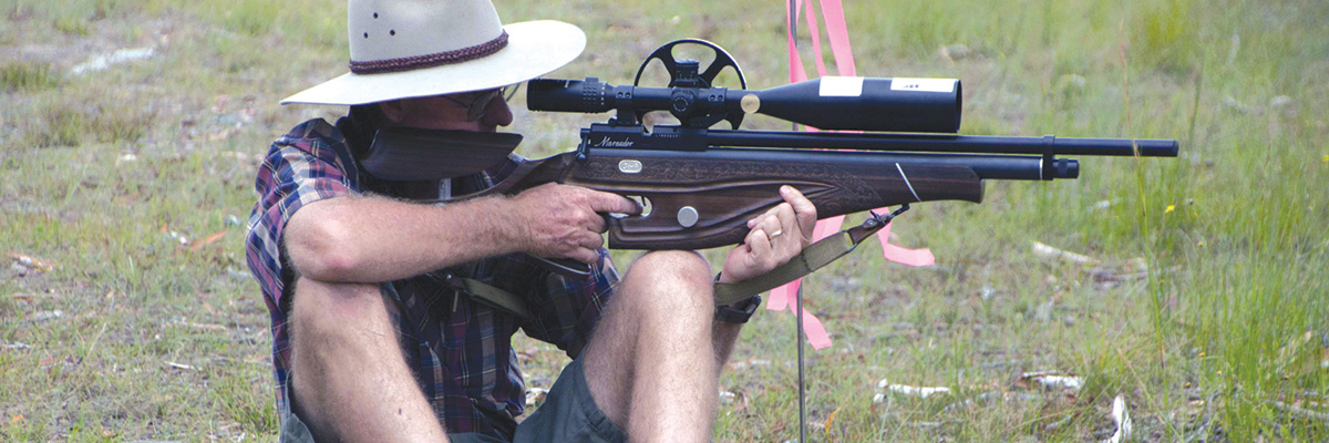 Air Rifle Field Target