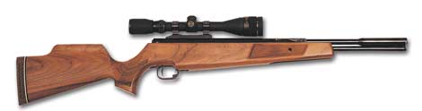 Beeman SLR-98 .22