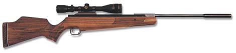 Beeman Crow Magnum III .20