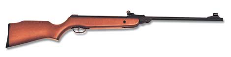 Gamo Expo 2600 .177