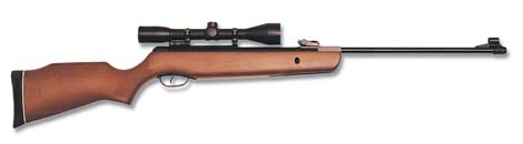 Gamo Hunter 440 .177