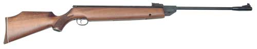 Beeman Kodiak .25