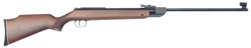 Diana A/R 36 .22