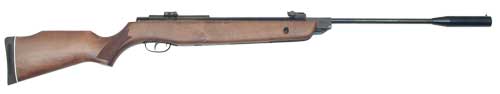Gamo Hunter 1250 .22