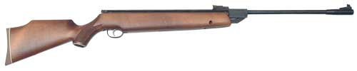 Webley Patriot .25