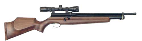 Webley Raider .22