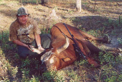 Hunting success