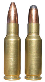 Wildcat cartridges