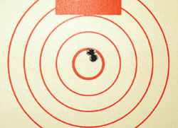 Target for testing cleaned firearm