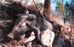Example of digital photography