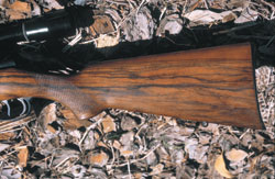 Natural wood stock on a sporting rifle