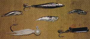 Arafura antics (Arnhem Land) fishing