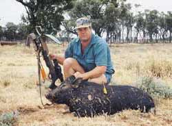 Billies, boars and bows