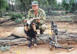 Billies, boars and bows