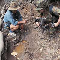 A fresh pig wallow is a sure sign that pigs are not far off