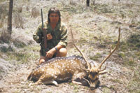 Chasin&rsquo; chital