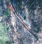 Firearms used in pest control