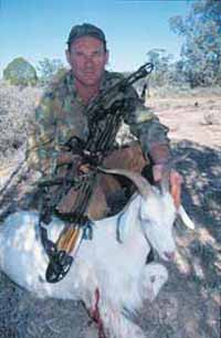 Where to hunt for goats