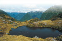 New Zealand&rsquo;s Nelson Lakes National Park