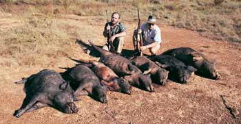 These seven pigs were taken from a mob coming in for a drink by these Hunt Australia clients - a rare sight these days but fairly common 25 years ago