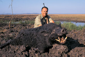 This great trophy boar was taken by one of Bob Penfold’s Hunt Australia clients while staking out this waterhole