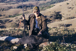 High on a hill, this small boar was taken by the author after a two-hour stalk and just after three pigs this size were spotted feeding on the top of a high ridge on the edge of a belt of thick scrub