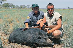 Pigs of the open plains