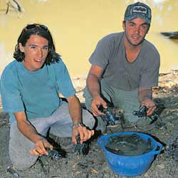 Yabbies