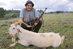 Goat hair is a tough fibre suited to tying jogs and flies.