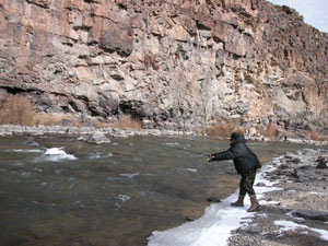 Covering the head, middle and lower parts of the rapids with various surface lures.