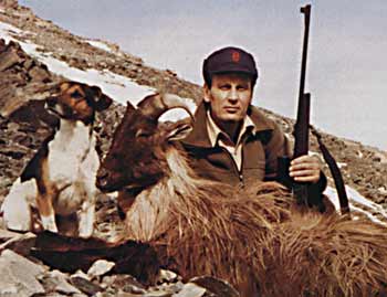 The author, bull tahr and the smallest hunter in the Southern Alps.