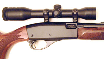 remington fieldmaster model 572 .22 remington fieldmaster model 572 .22